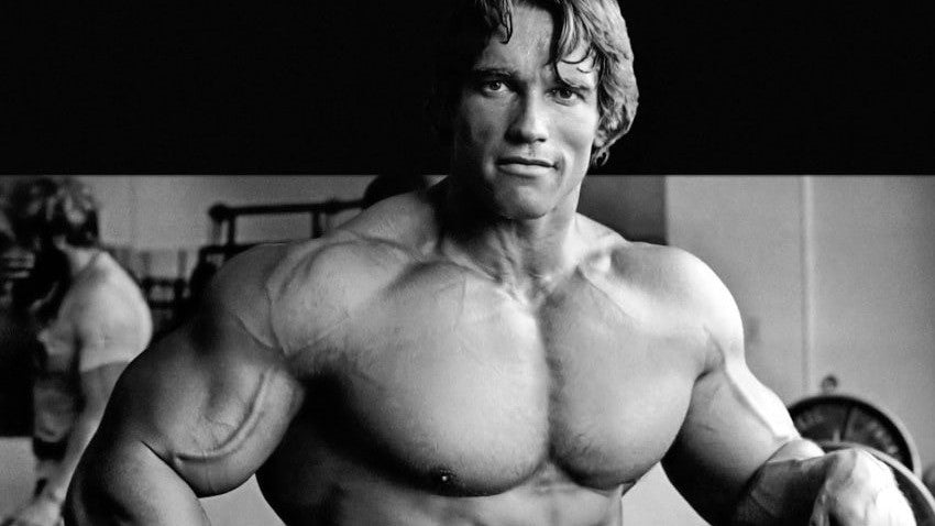 TOP 10 THINGS YOU DIDN'T KNOW ABOUT ARNOLD SWARZENEGGER