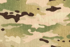 Multicam