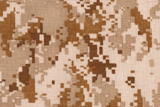 AOR1